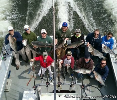 Incredible Striped Bass fishing. We get right on em