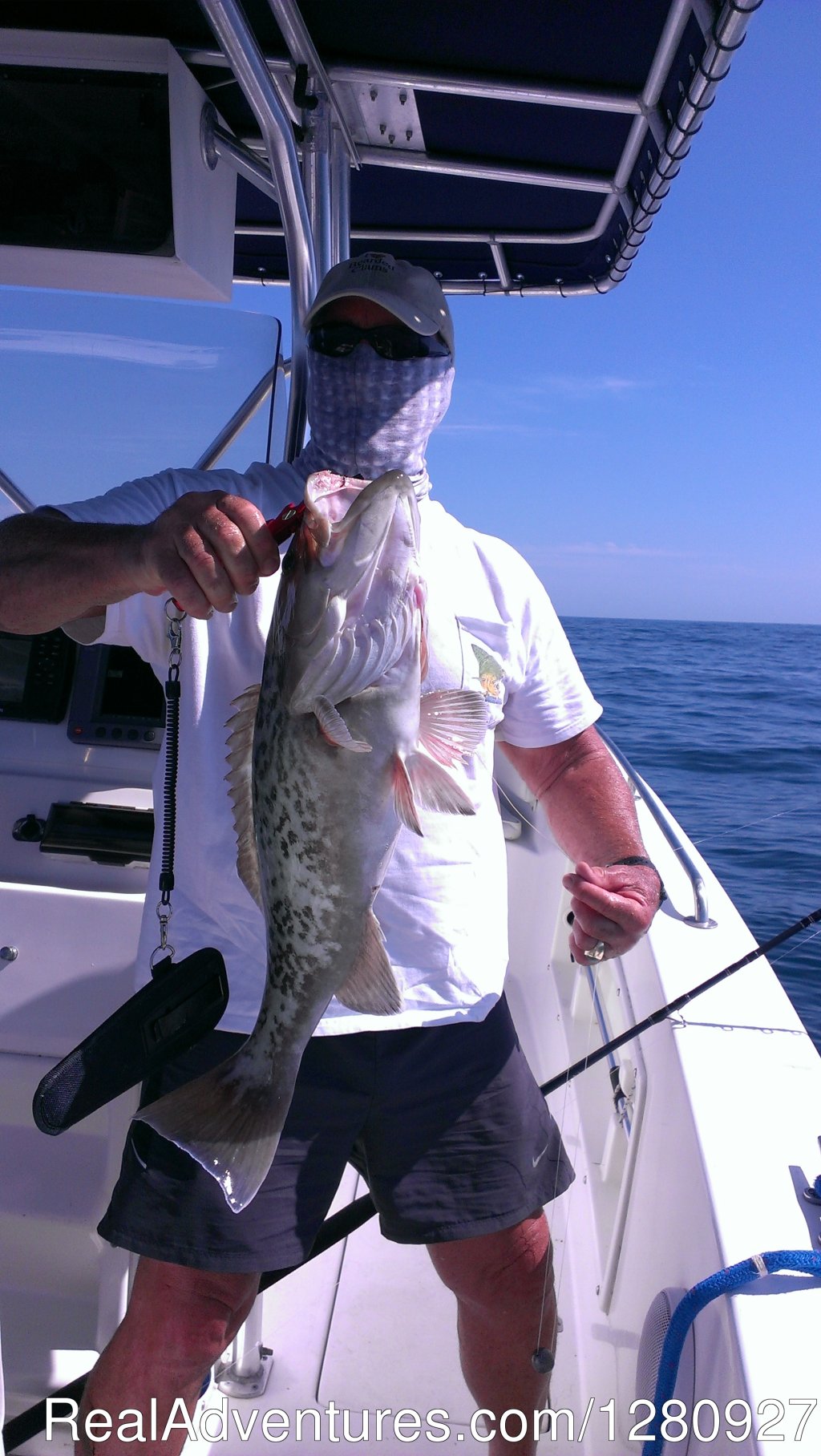Gag Grouper | Sarasota Florida Fishing | Sarasota, Florida  | Fishing Trips | Image #1/3 | 