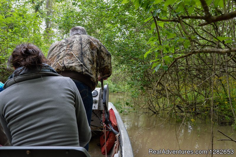 The Last Wilderness Swamp Tours | Image #2/12 | 