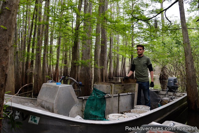The Last Wilderness Swamp Tours | Image #6/12 | 