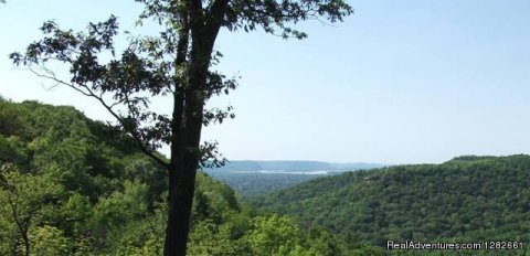 One of the magnificent views you can experience in La Crosse