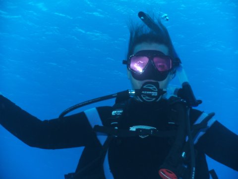 Diving Is Fun