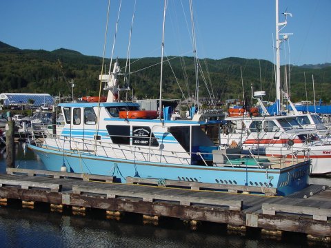 Ocean Charter Boat 37'