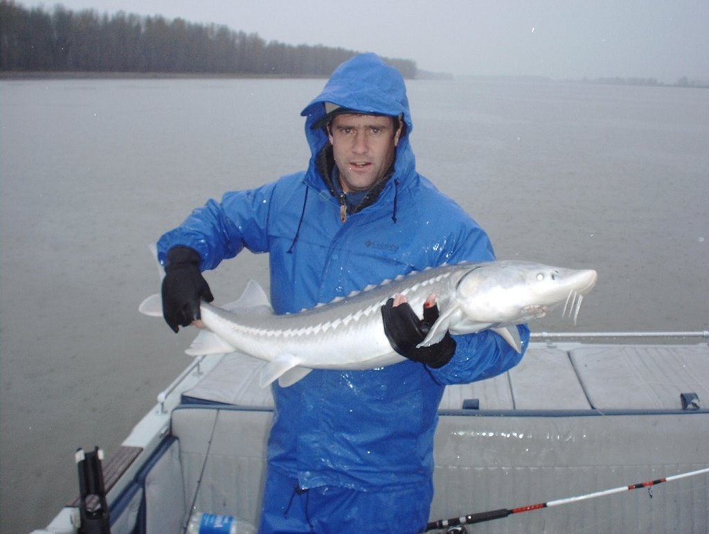 Winter Sturgeon Columbia R | Fishing Guides Charters in Oregon | Image #5/8 | 