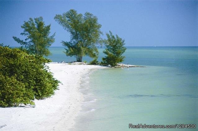 Stump Pass Beach | Yacht Charter Cruise Packages in Southwest Florida | Image #19/26 | 