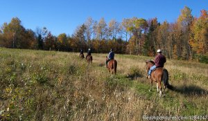 Guided Horseback Riding In The Northeast Kingdom | East Burke, Vermont | Horseback Riding & Dude Ranches