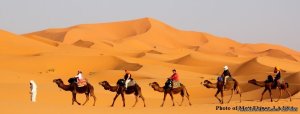 Rovemoroccotravels - Private & Custom Tours | Marrakrch, Morocco | Sight-Seeing Tours