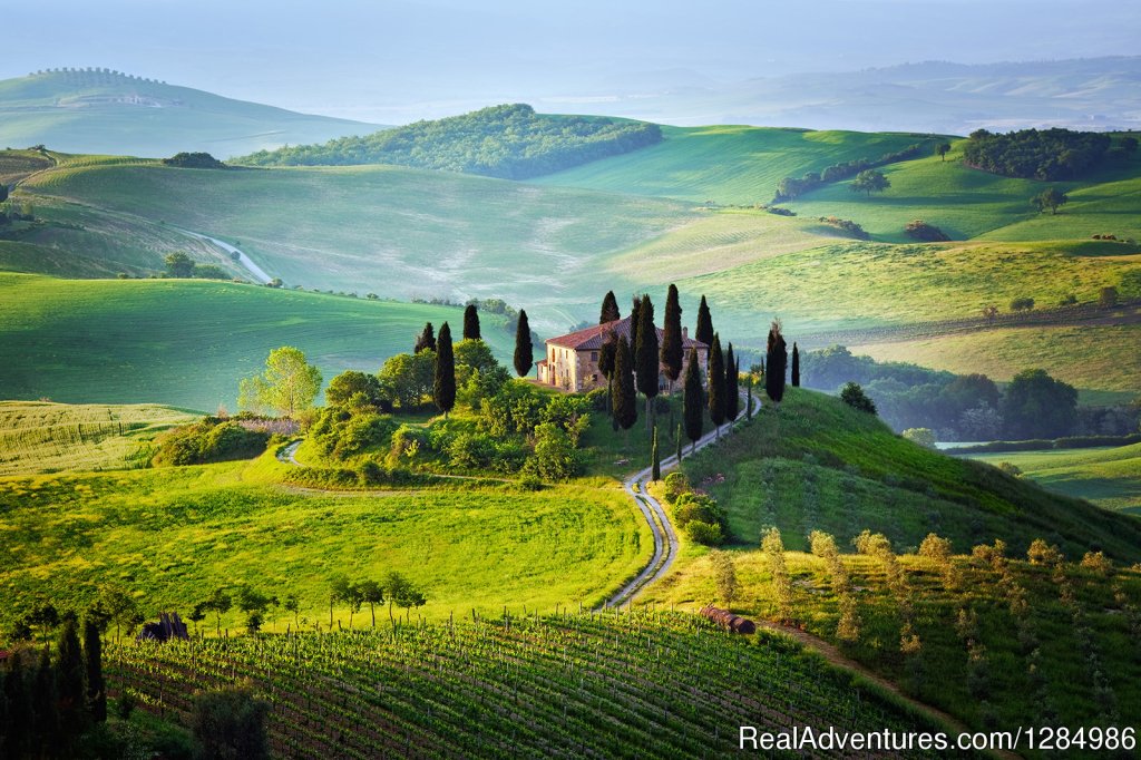 Tuscany small group tour wine tasting and cooking | Lucignano, Italy | Sight-Seeing Tours | Image #1/1 | 