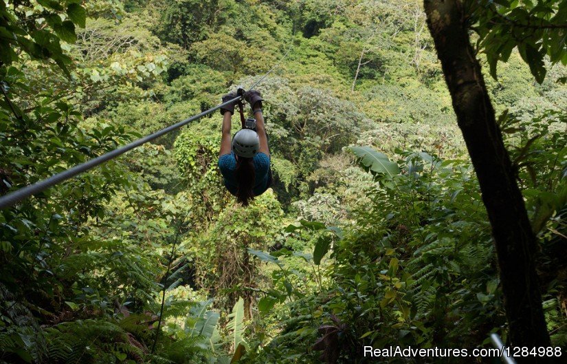 Zipline Canopy Tour | Volunteer Adventures in Costa Rica | Image #8/12 | 