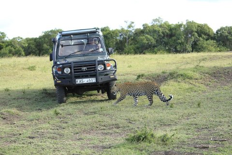 Volunteer Safari Kenya
