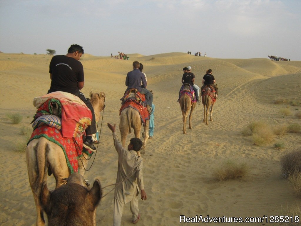 Camel ride to Thar desert | Motorcycle Tours India -Royal Bike Riders | Image #21/25 | 