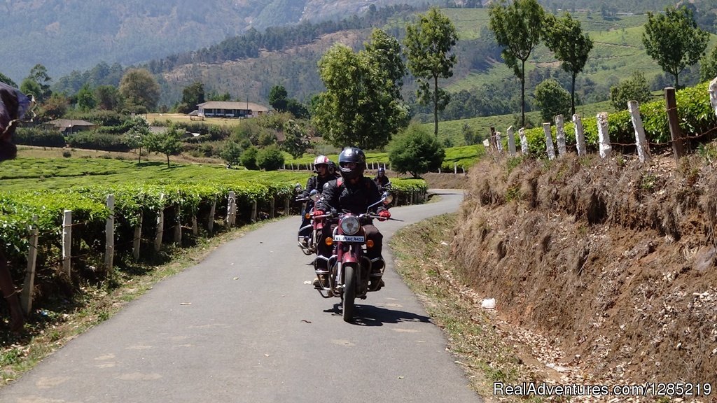 Tea/Spice plantation ride | Motorcycle Monks | Image #4/25 | 