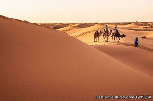 Desert Tours Morcoco - Day Tours / Excursions / ca | Marrakech Medina, Morocco | Sight-Seeing Tours