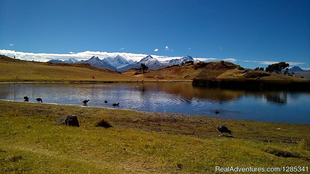 Laguna Willcacocha | Peru Santa Cruz Trekking | Cordillera Blanca | Image #14/15 | 