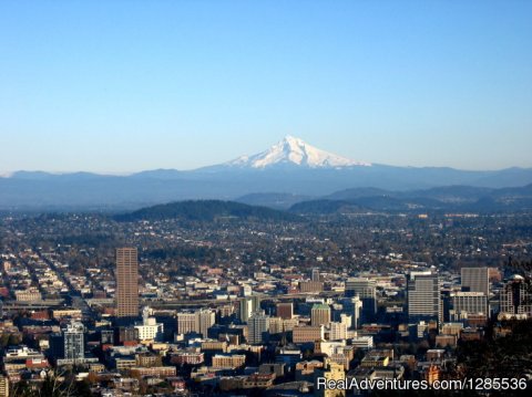 Mt. Hood from Pittock Mansion