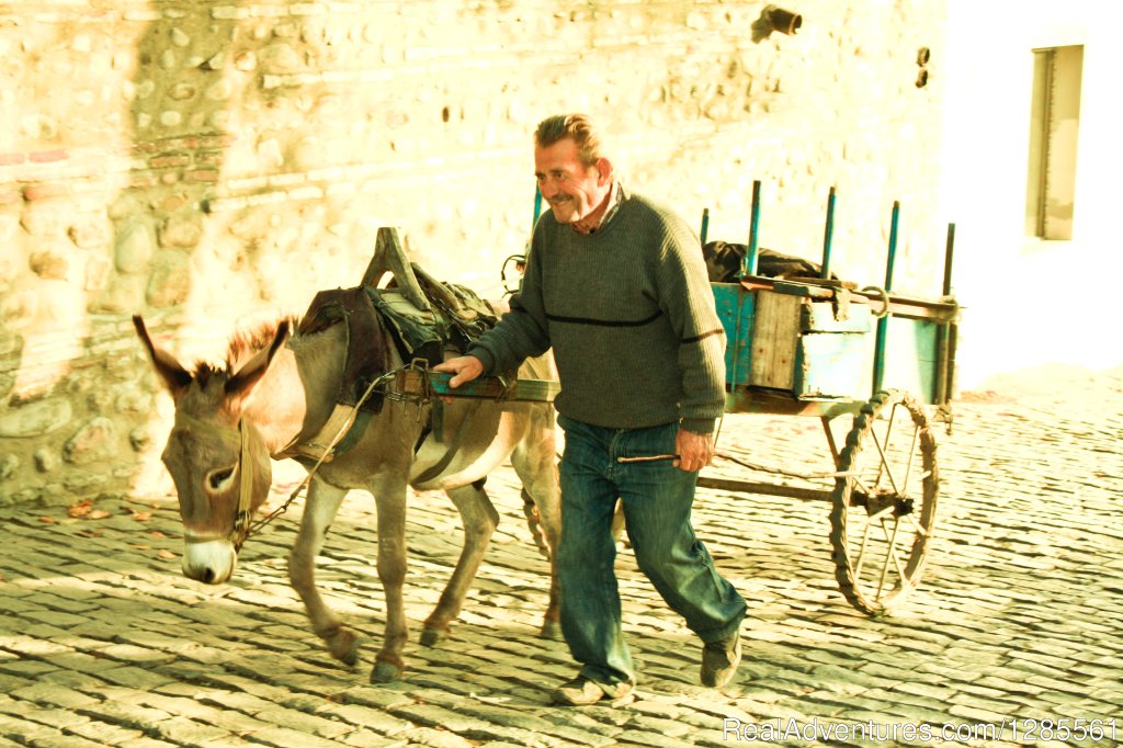 Local with donkey | Full Day Private Wine Tour | Image #4/10 | 