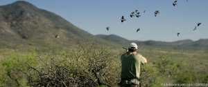Best Wingshooting In Argentina | Cordoba Province, Argentina | Hunting Trips