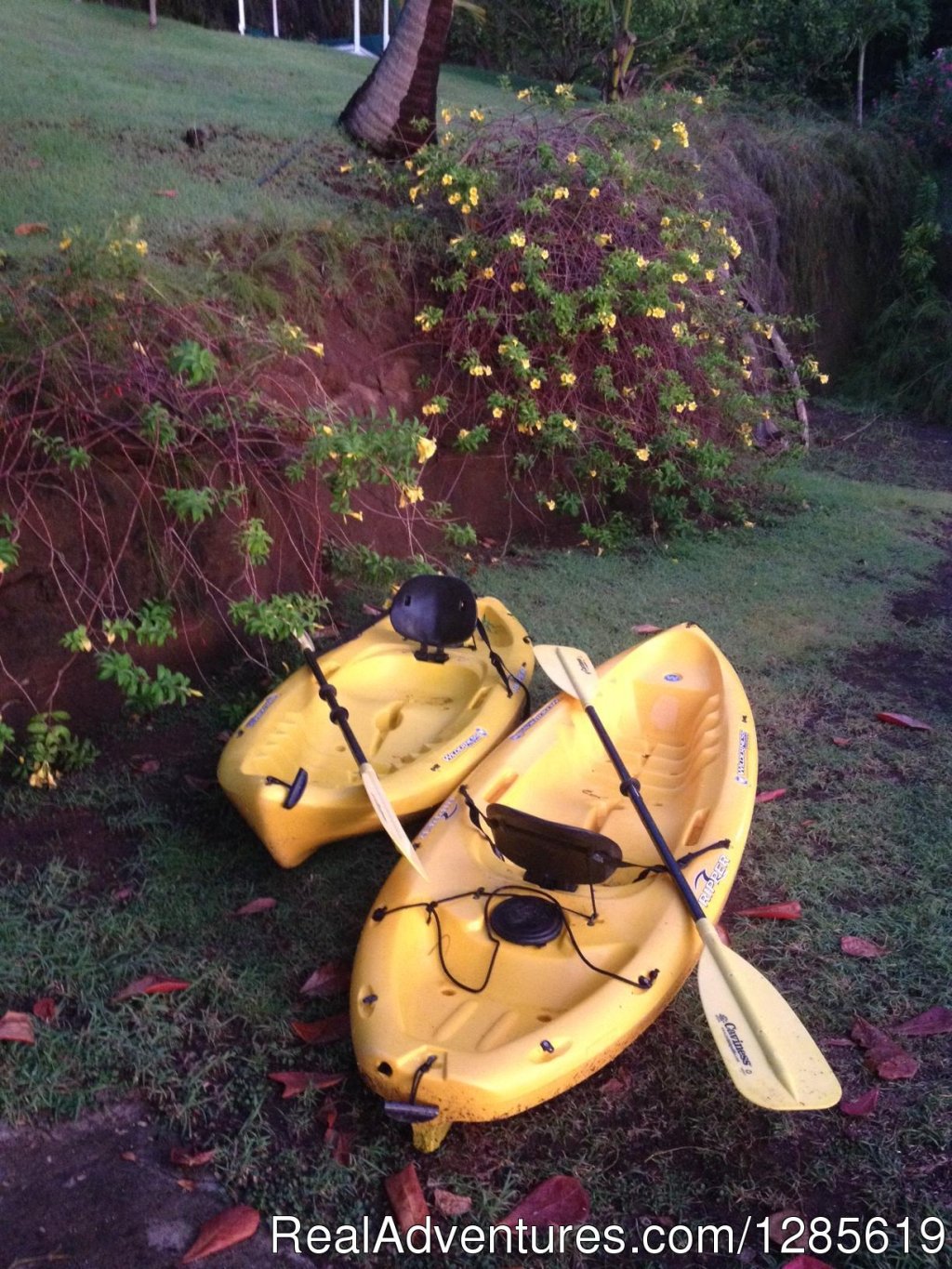 Kayaks | GrenadaBnB - Luxury Waterfront Villa | Image #11/13 | 