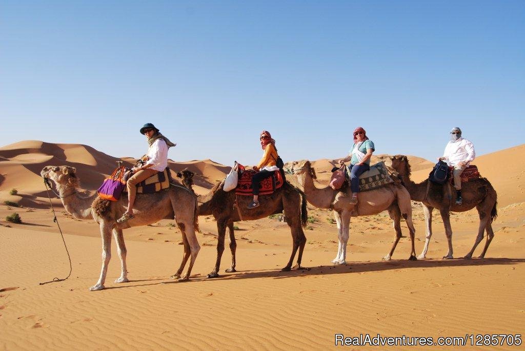 Morocco camel trekking desert tours | Morocco Destination Tours | Marrakesh, Morocco | Camel Riding | Image #1/1 | 