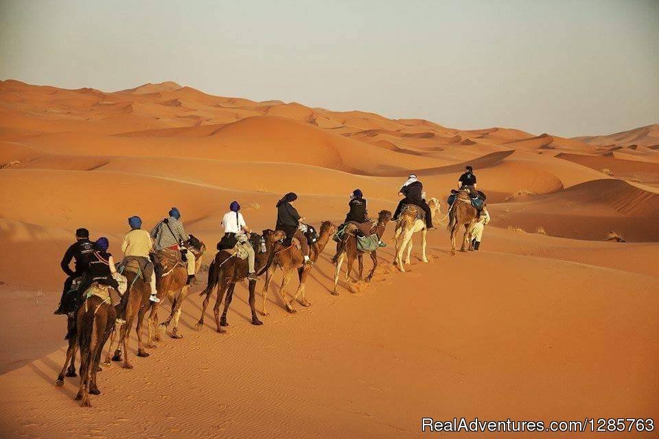 Camel Trekking in the Dunes of Merzouga | Morocco Travel Safari | Marrakesh, Morocco | Sight-Seeing Tours | Image #1/9 | 