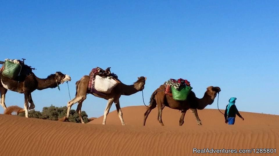 Camel Trek Merzouga | Image #3/13 | 
