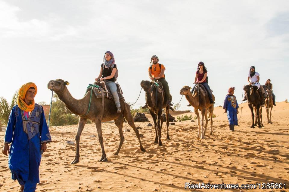 Camel Trek Merzouga | Image #7/13 | 