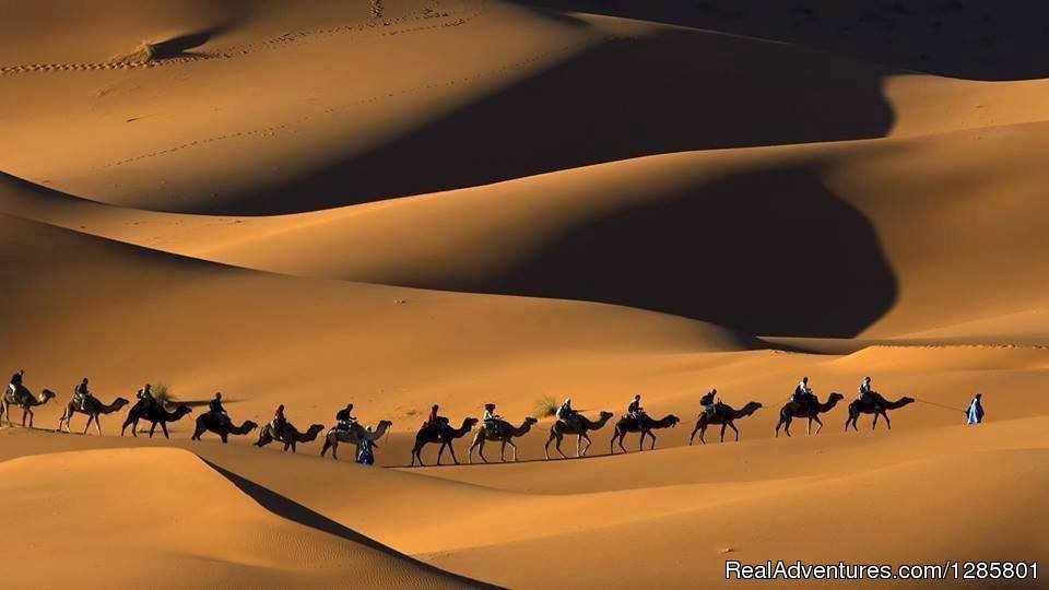 Camel Trek Merzouga | Image #11/13 | 