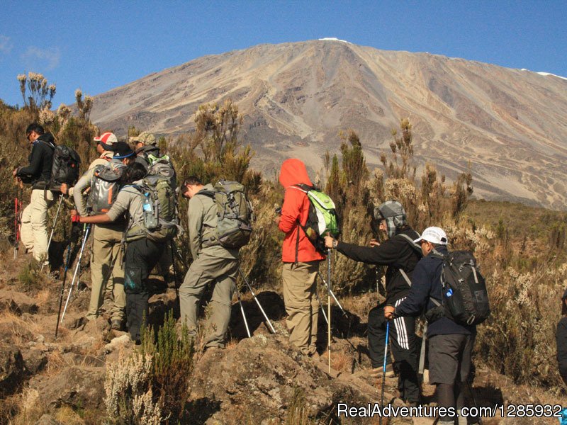 Enjoy The Nature | Kilimanjaro Climb From $1890 By Local Operator | Image #3/10 | 