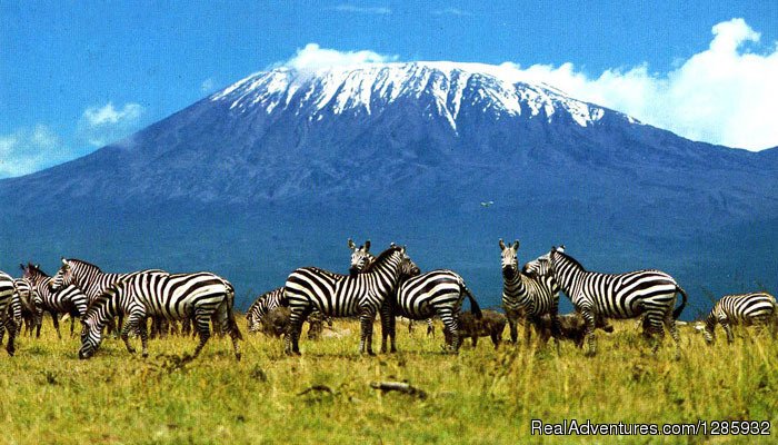 Enjoy the nature | Kilimanjaro Climb From $1890 By Local Operator | Image #5/10 | 