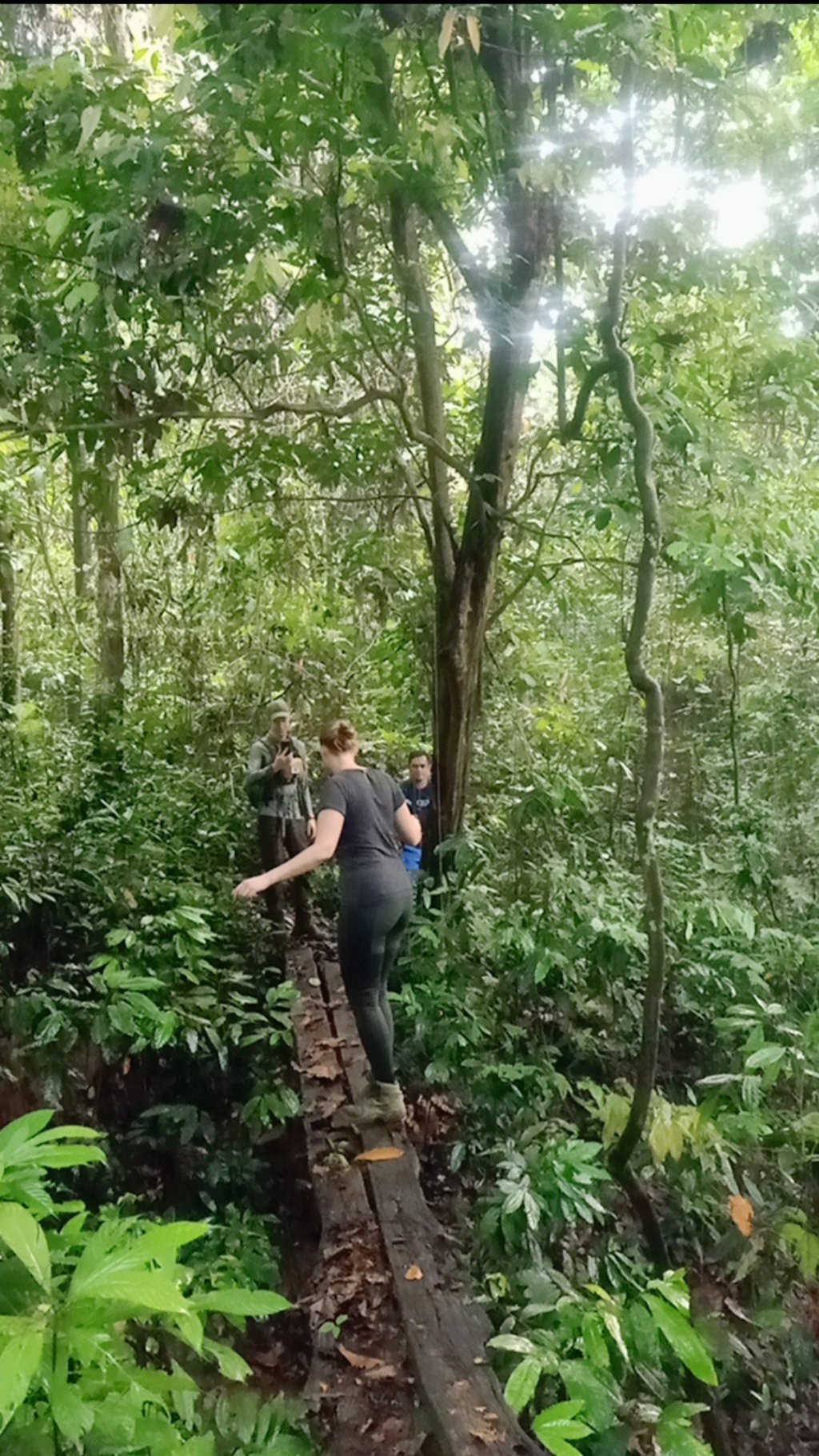 Cross The Bridge | Orangutan Kutai National Park | Image #10/10 | 