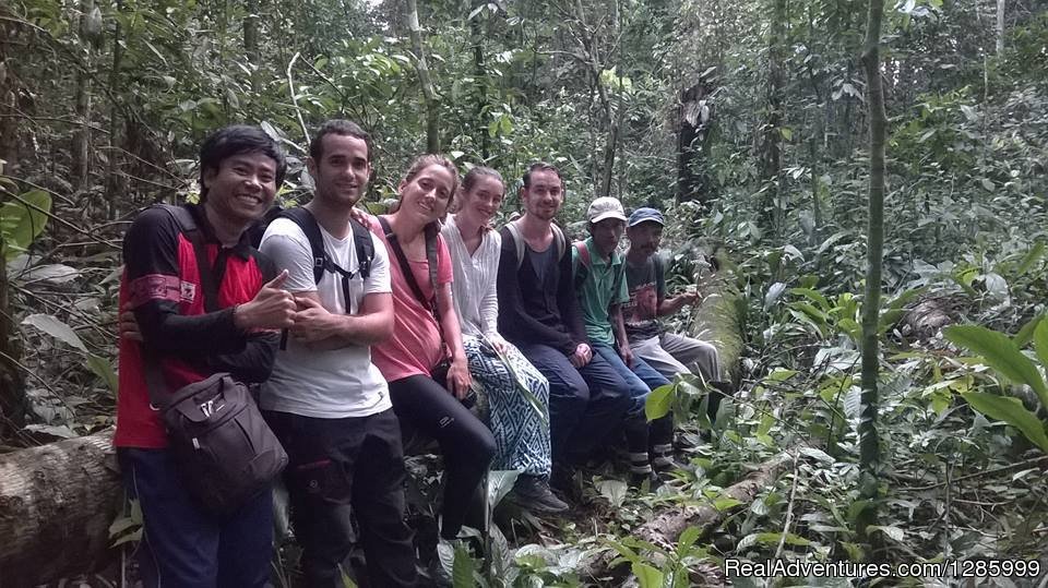 Hunting For Fruits | Orangutan Kutai National Park | Image #8/10 | 