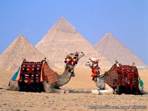 Egypt Tours & Travel