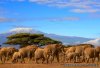One-Way Toursand Safaris | Mwanza, Tanzania