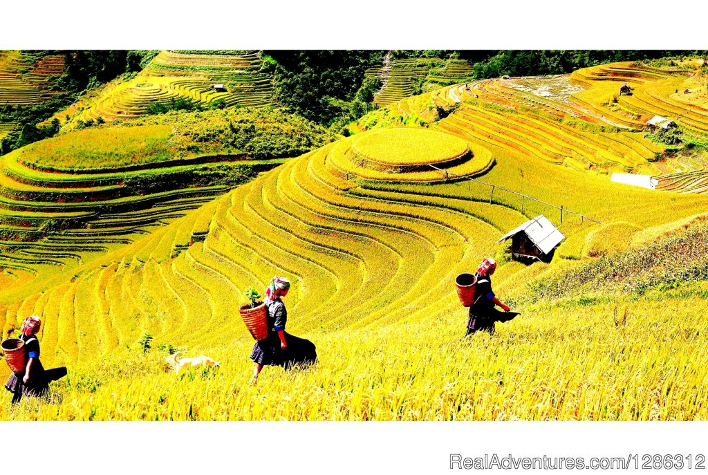 Sapa, Vietnam | HA Travel | Image #3/4 | 