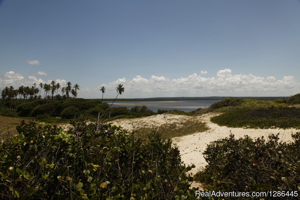 Barra do Rio Miriri savage place and nice trekking | discover the authentic Brazil | Image #8/21 | 