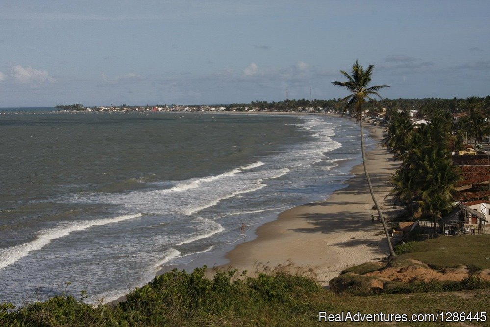 Baia da Traicao beach | discover the authentic Brazil | Image #12/21 | 
