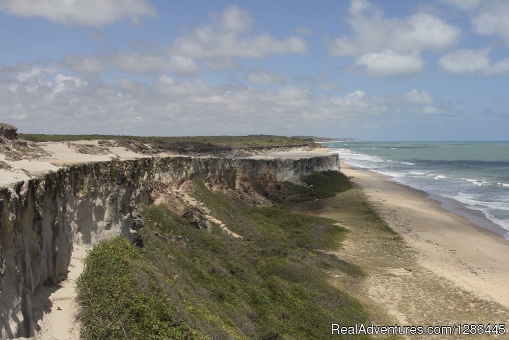 Baia da TraIcao cliff trail | discover the authentic Brazil | Image #13/21 | 