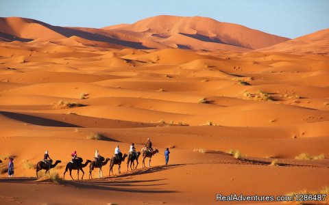 Camel Trekking Erg Chebbi Dunes Sahara desert Morocco