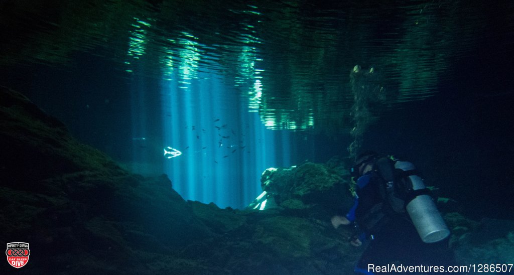 Cenote Diving Mexico | Infinity2Diving: Exciting Scuba Diving Trips in MX | Tulum, Quintana Roo, Mexico | Scuba Diving & Snorkeling | Image #1/5 | 