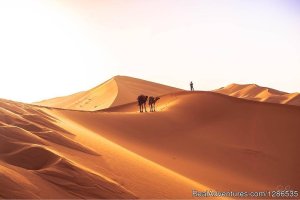 Desertbrise Travel | Zagora, Morocco | Sight-Seeing Tours