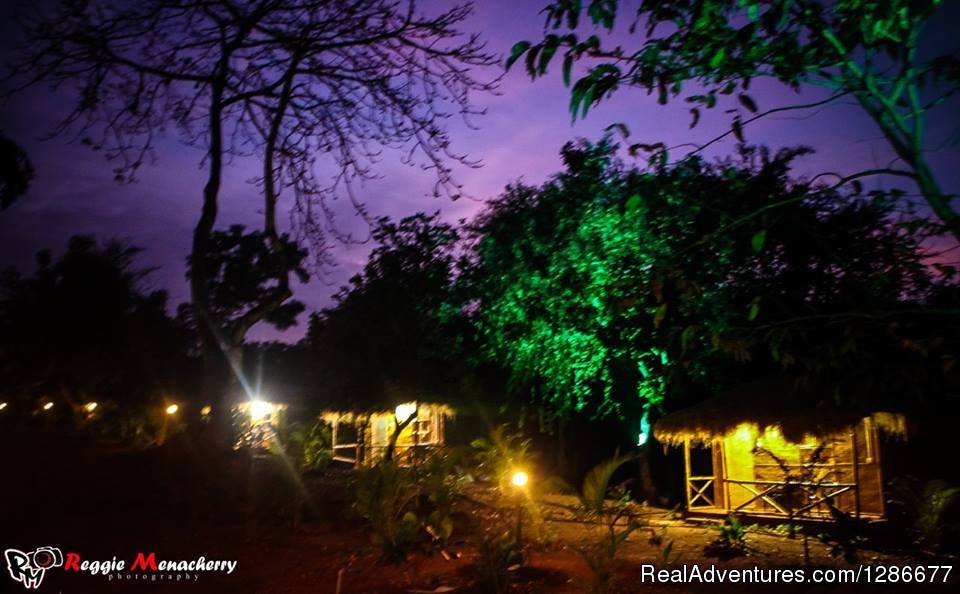 Credo by night | Credo Jungle Resort Agonda / bonefire & live music | Image #24/26 | 