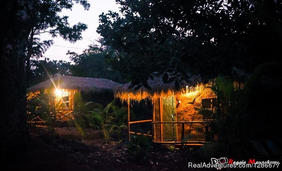 Eco hut | Credo Jungle Resort Agonda / bonefire & live music | Image #25/26 | 