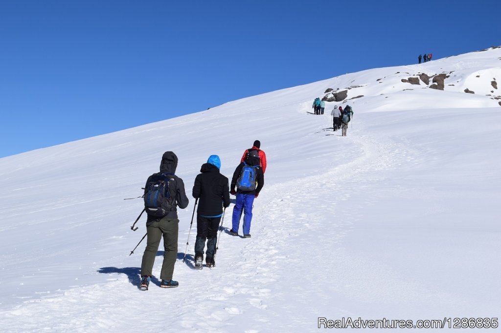 7 Days Kilimanjaro Trek -Lemosho Route | Majestic Kilimanjaro Climb The lifetime adventure | Image #2/6 | 