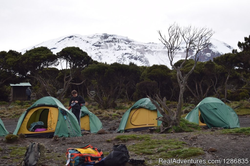 6 days Kilimanjaro trekking | Majestic Kilimanjaro Climb The lifetime adventure | Image #3/6 | 