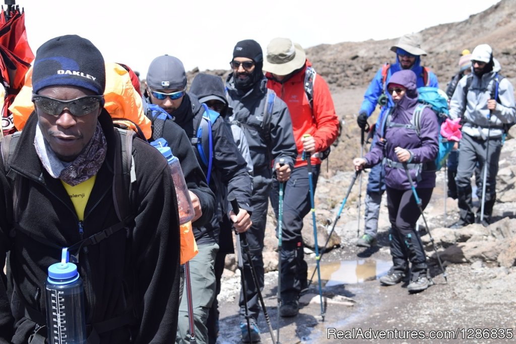 Kilimanjaro Trekking via Marangu route | Majestic Kilimanjaro Climb The lifetime adventure | Image #4/6 | 
