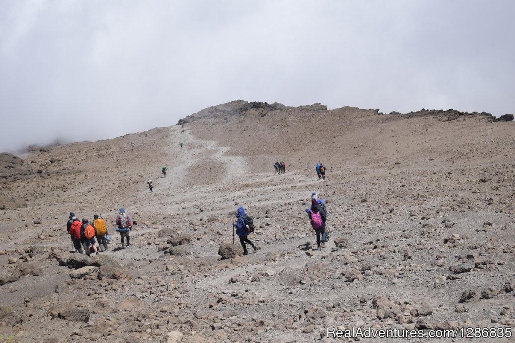 Kili trekking  Karanga trail | Majestic Kilimanjaro Climb The lifetime adventure | Image #5/6 | 