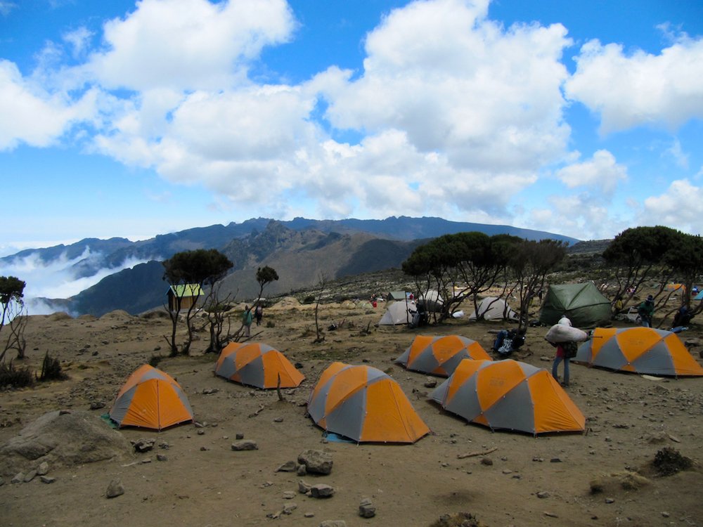 Baranco Wall | Climb Mount Kilimanjaro with Tranquil | Image #4/4 | 