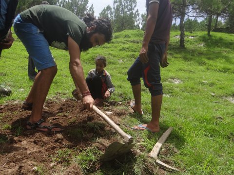 Digging Holes For Plantation