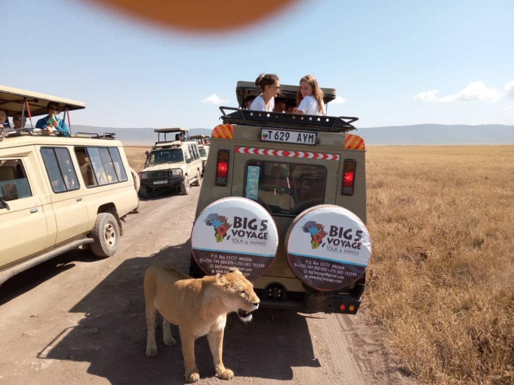 Ngorongoro | 3 Days safari Best in Northern circuits | Image #2/4 | 