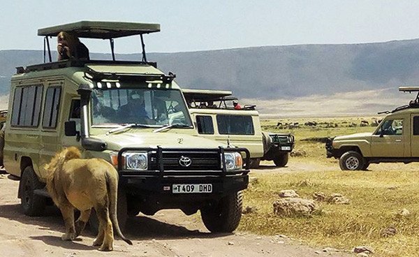 4 Days Tented Camps Safari | Arusha, Tanzania | Wildlife & Safari Tours | Image #1/7 | 